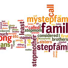 Stepfamily Coaching | Stepfamily Counselor